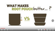Picture of Root Pouch Explainer