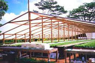 Picture of Hydroponics Hawaiian Style