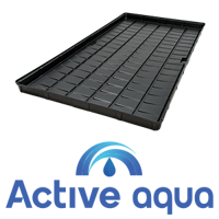 Active Aqua Logo