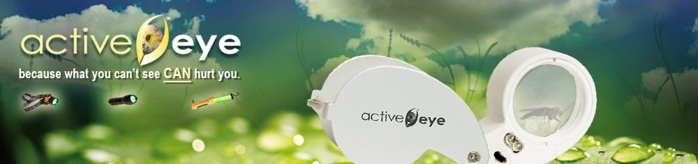 Active Eye - Brand