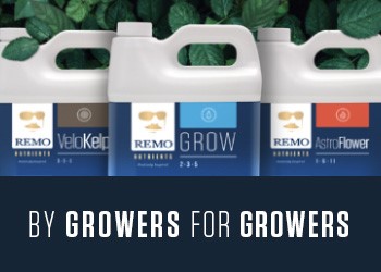 Remo - For Growers by Growers