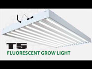 Picture of AgroBrite T5 Fixture with Lamps