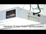 Picture of Agrobrite T5 Fixtures