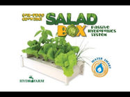 Picture of Salad Box Passive Hydroponic System by Hydrofarm