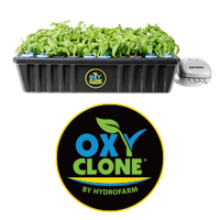 oxyCLONE Logo