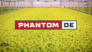 Picture of Phantom 50 Series Commercial DE Lighting System