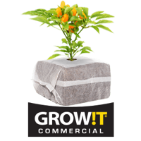 GROW!T Logo