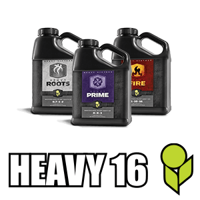 HEAVY 16 Logo