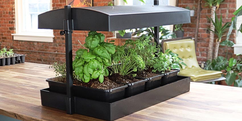 Hydroponic System