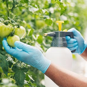 Sécateur de précision léger – hydrofarm - Jardins de l'écoumène