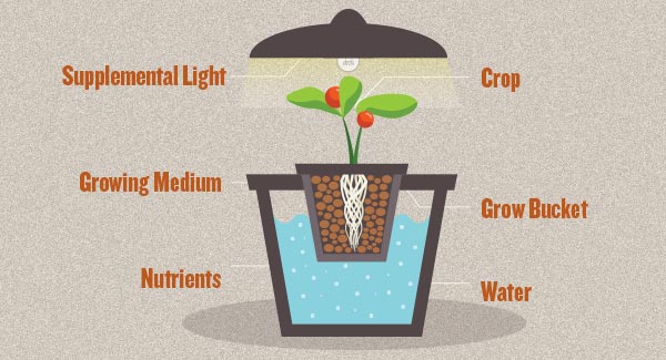 Hydroponics Glossary